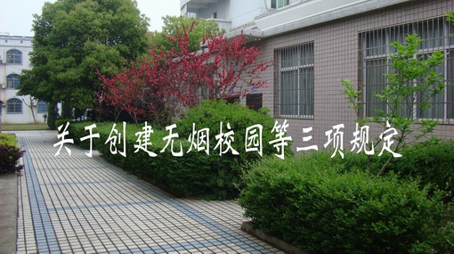 712DSC06288_conew1.jpg